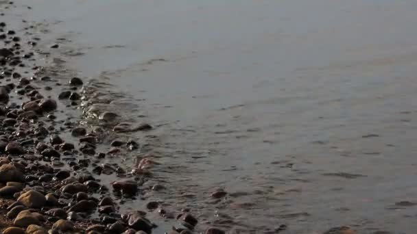 잔잔 한 파도가 해 변을 씻어 준다. 회색, 흐린 날씨. 물에 있는 갈비뼈가 닫 힙니다. 젖은 돌에 태양이 반사 된다 — 비디오