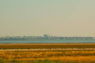 Şehrin arka planına ve renkli çayırlara karşı gölde bir martı sürüsü. Anapa, Krasnodarskij Kraj, Rusya. peyzaj arka planı