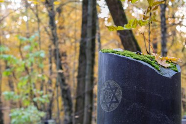 Altı köşeli bir yıldızla Yahudi mezarlığında eski yuvarlak bir mezar taşı. Geleneksel Yahudi işareti David star, David Shield