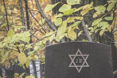 Mezar taşında altı köşeli yıldız ya da altıgen var. Sonbahar Yahudi Mezarlığı