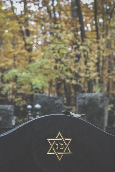 Šest špičatých hvězd nebo hexagram na náhrobku. Podzimní židovský hřbitov — Stock fotografie