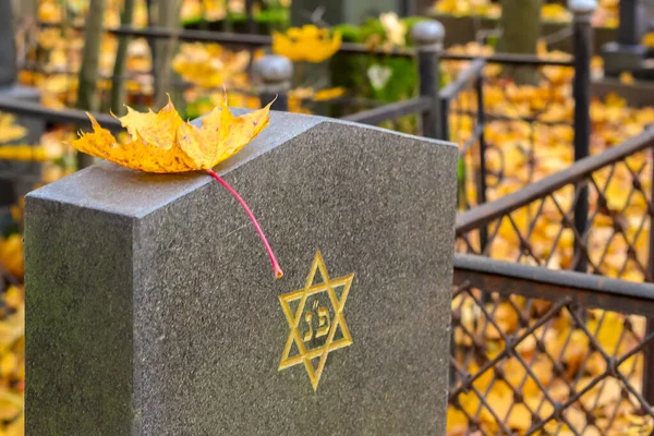 Herfst Joodse begraafplaats. Een gele esdoorn blad ligt op een kerkhof plaat met een gegraveerde ster van David. — Stockfoto