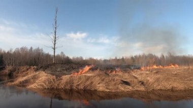 Orman yangını, tarla yangını, kuru çimenler yanıyor. Çalı yangını, bahar yangını. Vahşi Ateş çiftlikte sakal yakıyor. Sesli görüntüler