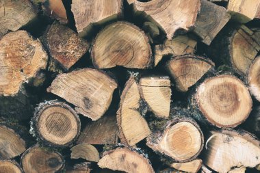 Duvara dizilmiş odun için kereste. Kırsal şömine için odun çırpma