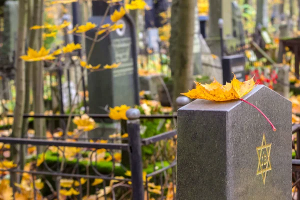 Herfst Joodse begraafplaats. Een gele esdoorn blad ligt op een kerkhof plaat met een gegraveerde ster van David. — Stockfoto