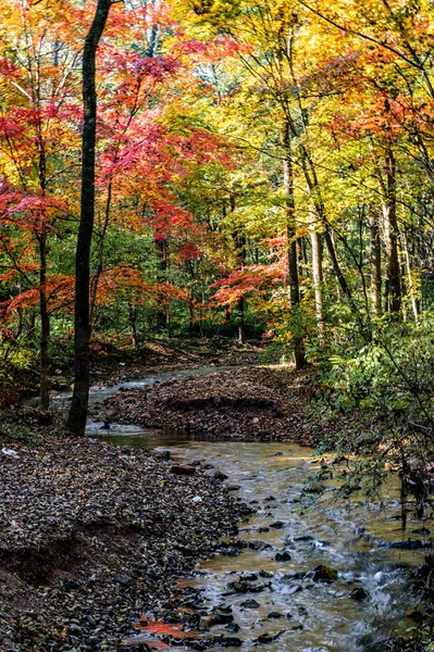 Φθινόπωρο Οκτώβριος Jilin Jiaohe Red Leaf Valley Red Leaf Τοπίο — Φωτογραφία Αρχείου