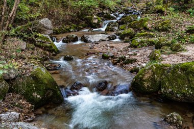 Ekim 'de Jilin Jiaohe Kırmızı Yaprak Vadisi Akışı
