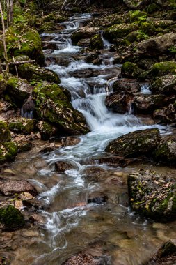 Ekim 'de Jilin Jiaohe Kırmızı Yaprak Vadisi Akışı