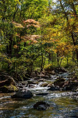 Ekim 'de Jilin Jiaohe Kırmızı Yaprak Vadisi Akışı