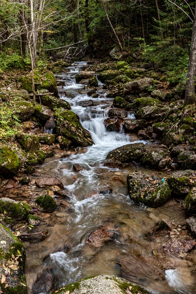 Jilin Jiaohe Red Leaf Valley Stream Krajina Říjnu — Stock fotografie