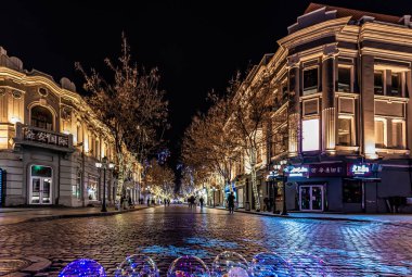 Central Street 'in gece manzarası, Harbin, Çin