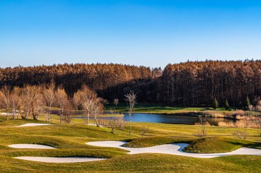 Çin Changchun 'daki Jingyuetan golf sahasının sonbahar manzarası.