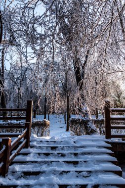 Çin, Changchun 'daki İmparatorluk bahçesinin kış manzarası. Yoğun kar yağışı sonrası.