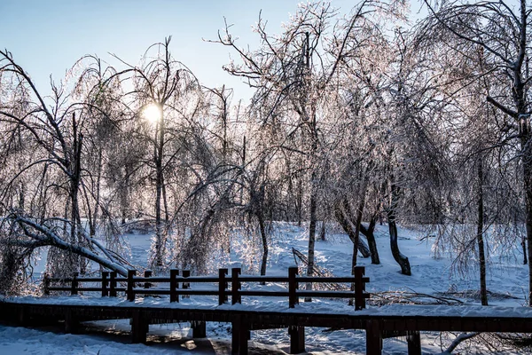 Winterlandschaft Des Kaiserlichen Gartens Changchun China Nach Starkem Schneefall — Stockfoto