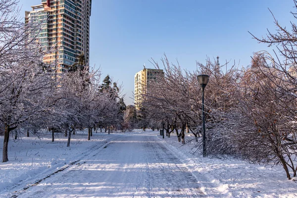 Paisaje Invierno Del Jardín Imperial Changchun China Después Nieve Pesada — Foto de Stock