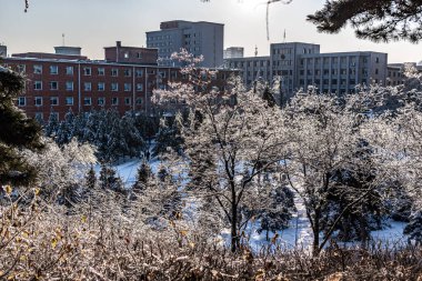 Çin, Changchun 'daki İmparatorluk bahçesinin kış manzarası. Yoğun kar yağışı sonrası.