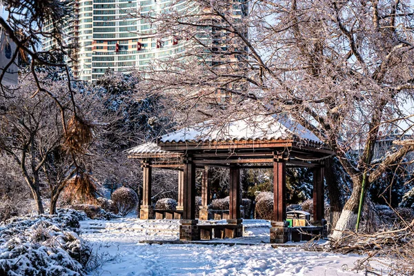 Зимний Пейзаж Императорского Сада Чанчуне Китай После Сильного Снега — стоковое фото