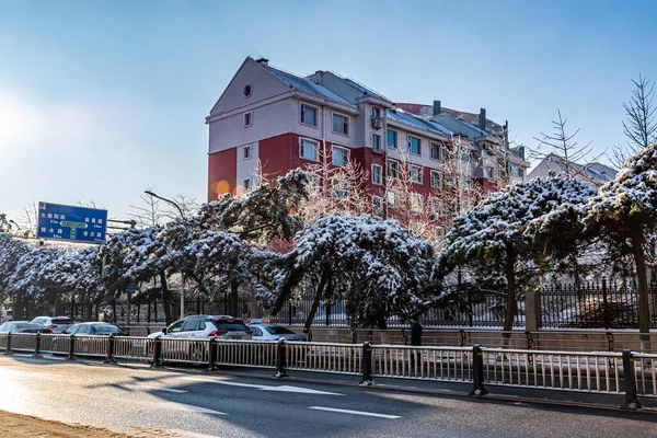 Paisaje Invernal Calles Changchun China Después Nieve — Foto de Stock