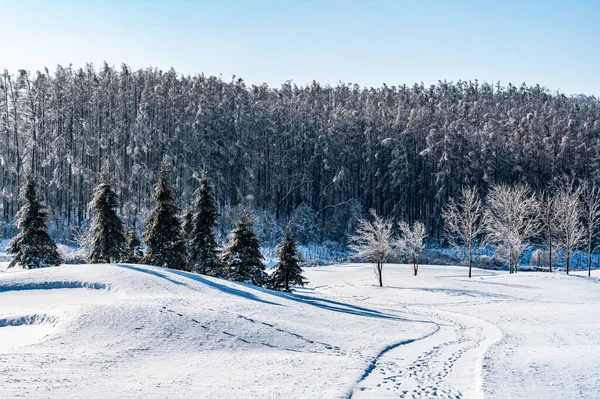 Winterschneeszene Jingyuetan National Forest Park Changchun China — Stockfoto