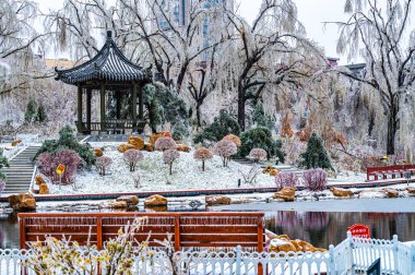 Çin 'deki Changchun Şakayık Bahçesi' nin kış manzarası.