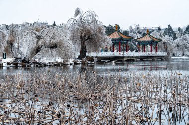 Nanhu Park 'ın kış manzarası Changchun, Çin' de yağmur ve kardan sonra