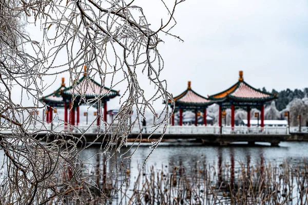 中国長春市の南湖公園の冬の風景雨と雪の後 — ストック写真