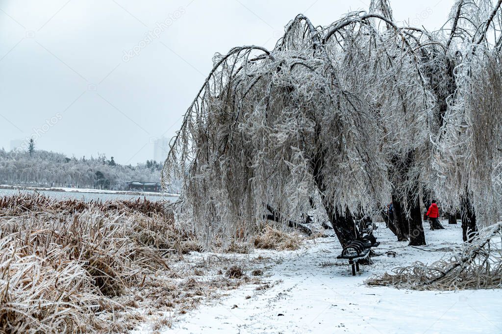 Winter landscape of Nanhu Park in Changchun, China after rain and snow