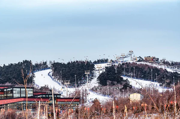 Landskap Dingshan Ski Resort Changchun Kina — Stockfoto