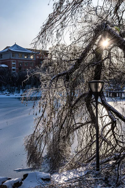 Paisaje Invernal Del Jardín Imperial Changchun China — Foto de Stock