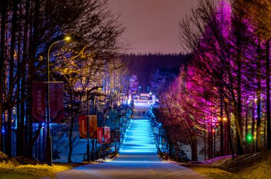 Jingyuetan Ulusal Orman Parkı 'nın kış gecesi manzarası, Changchun, Çin