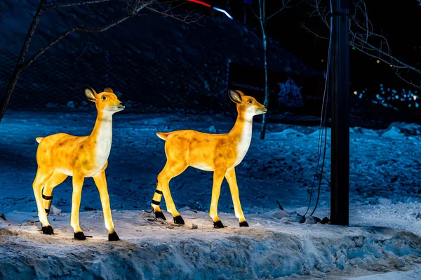 Night View New Ice Snow Park Changchun World Sculpture Garden — Φωτογραφία Αρχείου