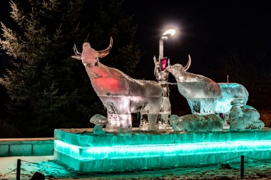 Changchun Dünya Heykel Bahçesi, Çin 'deki yeni buz ve kar parkının gece manzarası