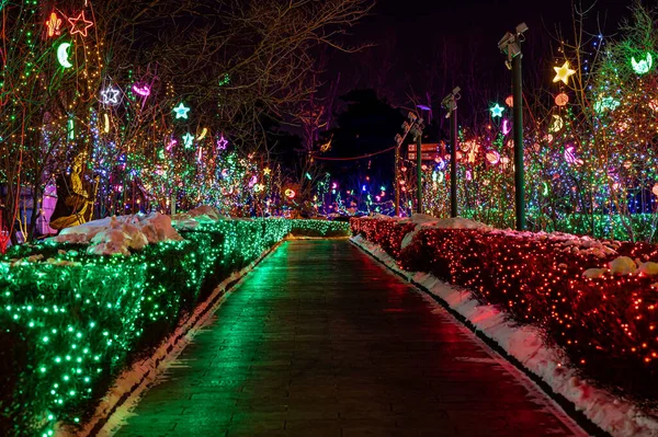 Winter Night Scene Changchun China Festival — Stock Photo, Image