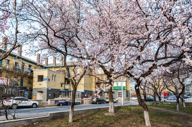 Baharda Çin 'in Changchun kentsel manzarası
