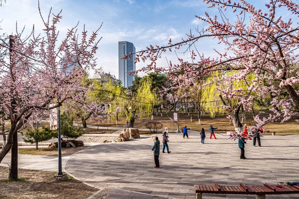 Paysage Urbain Changchun Chine Printemps — Photo