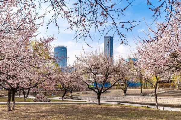 Paysage Urbain Changchun Chine Printemps — Photo