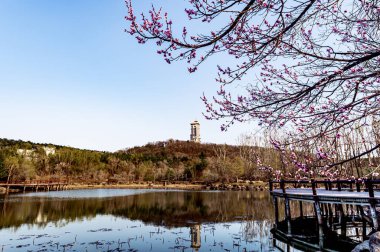 Çin Changchun 'daki Jingyuetan Ulusal Orman Parkı' nın bahar manzarası