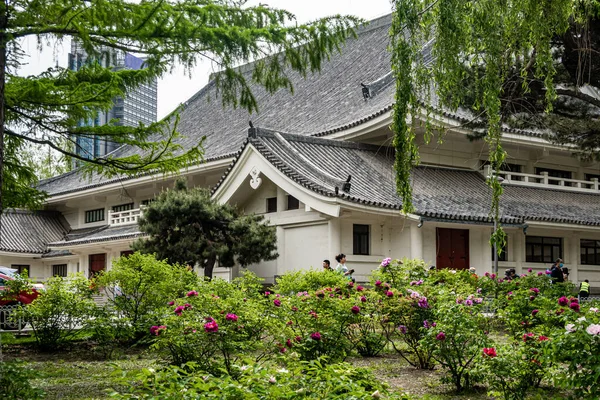Pfingstrosen Blühen Changchun Peony Garden China — Stockfoto