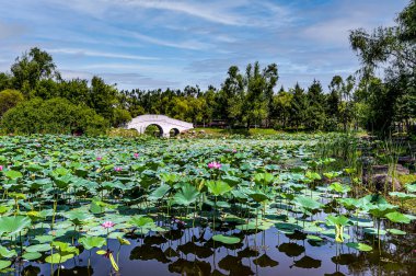 Jingyuetan Ulusal Orman Parkı manzarası, Changchun, Çin