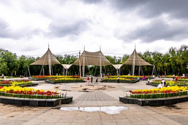 Changchun Park, Changchun, Çin 'de çiçek açan zambaklar.