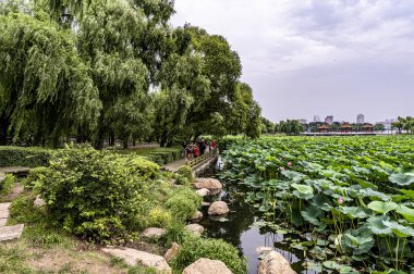 Changchun, Çin 'deki Kuzey Gölü Ulusal Wetland Parkı manzarası.