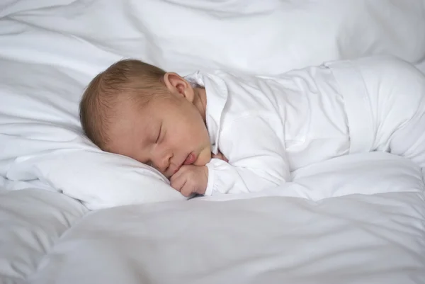 Bebé recién nacido durmiendo — Foto de Stock