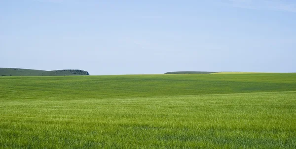 Odlingslandskap i Podillien regionen i Ukraina — Stockfoto