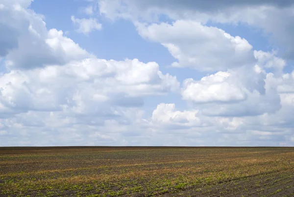 Agricultural landscape in Podolia region of Ukraine — Stock Photo, Image