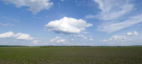 Rural landscape in Ukraine — Stock Photo, Image