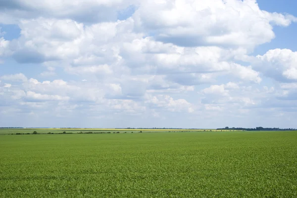 Rural landscape in Ukraine — Stock Photo, Image