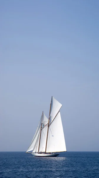 Zeilboot op zee — Stockfoto