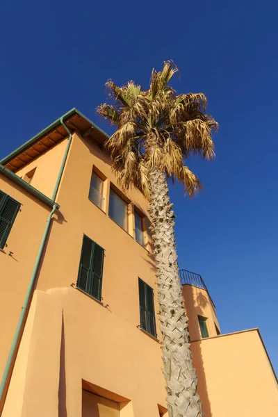 Talya Nın Liguria Bölgesindeki Imperia Eski Kasabasındaki Renkli Eski Cephesi — Stok fotoğraf
