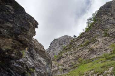 Ligurian Alp Dağları, Toraggio Dağı, Kuzeybatı İtalya