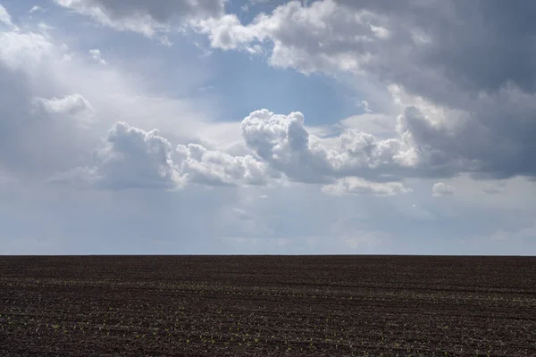 Field Ploughed Spring Podilski Tovtry Nature Reserve Podolia Region South — Stock Photo, Image